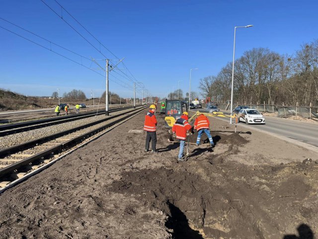 Na ul. Kosmonautów pojawi się prawie 800 drzew! Pierwsze z nich dotrą niebawem [Foto]