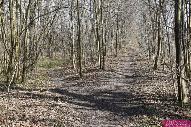 Ciekawe, mało znane miejsca Wrocławia cz. 7: Tajemnice Wyspy Opatowickiej