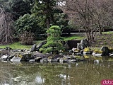 Zobaczyliśmy urokliwy Ogród Japoński dzień przed otwarciem sezonu. Widać oznaki wiosny [PRAKTYCZNE INFORMACJE, FOTO]