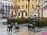 Na Rynek Psiego Pola zawitały wielkanocne palmy [Foto]