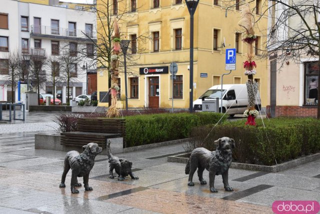 Na Rynek Psiego Pola zawitały wielkanocne palmy [Foto]