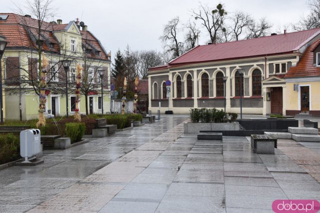 Na Rynek Psiego Pola zawitały wielkanocne palmy [Foto]