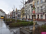 Na Rynek Psiego Pola zawitały wielkanocne palmy [Foto]