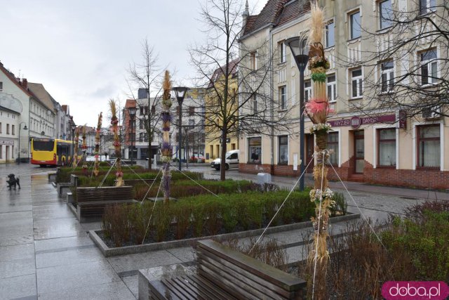 Na Rynek Psiego Pola zawitały wielkanocne palmy [Foto]