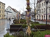 Na Rynek Psiego Pola zawitały wielkanocne palmy [Foto]