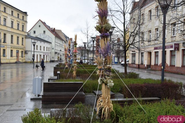 Na Rynek Psiego Pola zawitały wielkanocne palmy [Foto]