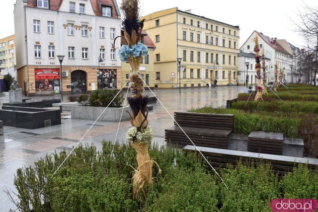 Na Rynek Psiego Pola zawitały wielkanocne palmy [Foto]
