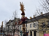 Na Rynek Psiego Pola zawitały wielkanocne palmy [Foto]