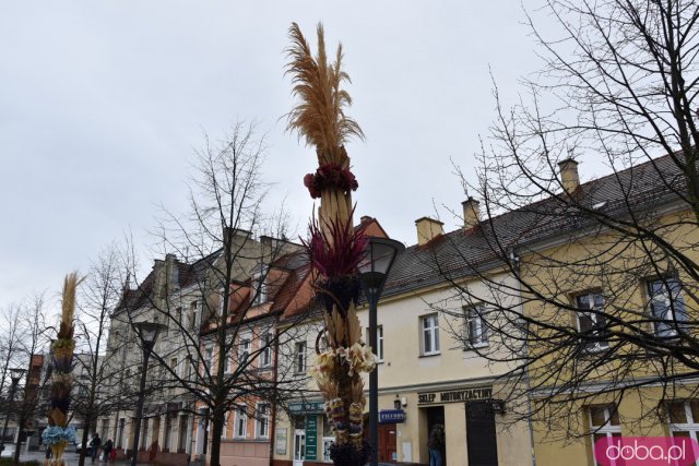 Na Rynek Psiego Pola zawitały wielkanocne palmy [Foto]