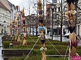 Na Rynek Psiego Pola zawitały wielkanocne palmy [Foto]