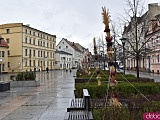 Na Rynek Psiego Pola zawitały wielkanocne palmy [Foto]