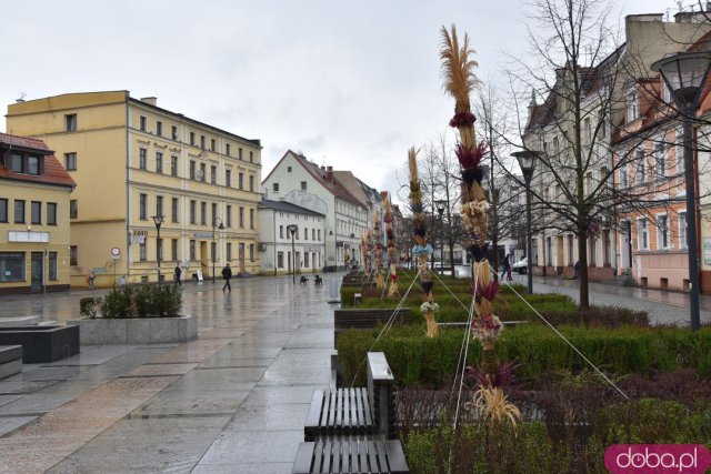 Na Rynek Psiego Pola zawitały wielkanocne palmy [Foto]