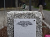 Odsłonięto nagrodę Eco-Miasto na nowym odcinku Promenady Krzyckiej. Całość trasy ma połączyć Tarnogaj z ul. Grabiszyńską [Foto]