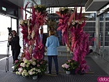 Dlaczego wrocławskie lotnisko zostało przyozdobione w kwiaty i walizki z wizerunkiem księżnej Daisy? Zbliża się Festiwal Kwiatów i Sztuki w Zamku Książ [Foto, Wideo]