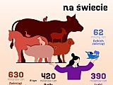 Zoo ratuje zagrożone gatunki. Dzień Ziemi to szczególna data [Foto]