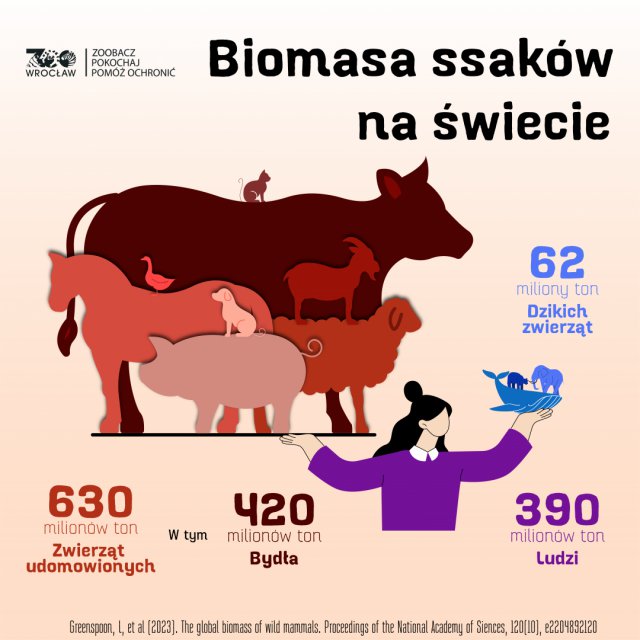 Zoo ratuje zagrożone gatunki. Dzień Ziemi to szczególna data [Foto]