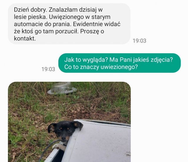 Zamknęli psa w starej pralce i porzucili w środku lasu [ZOBACZ ZDJĘCIA]