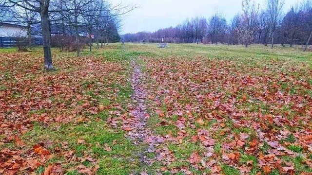 Przy ul. Koziej powstanie nowy ciąg pieszo-rowerowy [Foto]