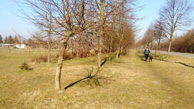 Przy ul. Koziej powstanie nowy ciąg pieszo-rowerowy [Foto]