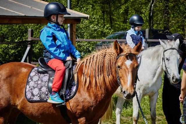 Ponad 7 tysięcy widzów na wyścigowej majówce na Partynicach [Foto]