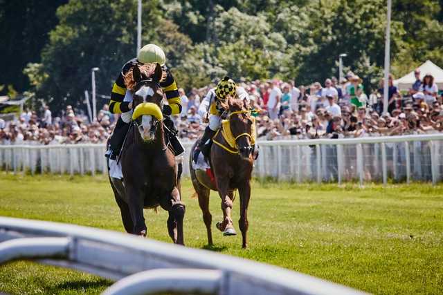 Ale zjawiskowe kreacje! Święto Kapeluszy w ramach Ladies Day i 5. dzień wyścigowy na Partynicach za nami [FOTO]