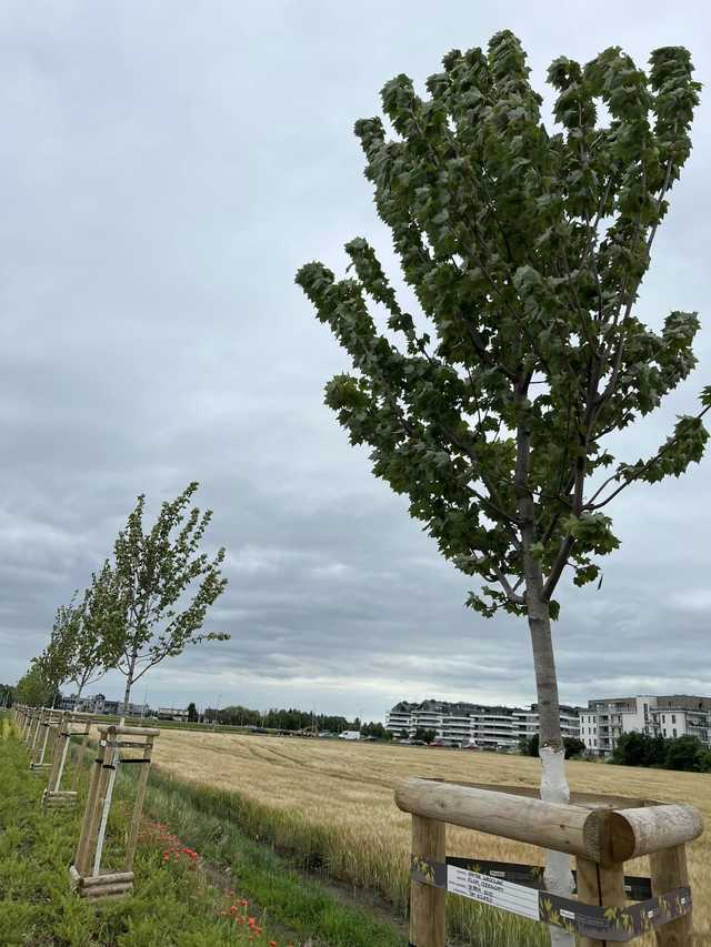 Ważne ulice łączące Wojszyce z Jagodnem zostaną oddane do użytku jeszcze w te wakacje. Zobacz postęp prac [FOTO]
