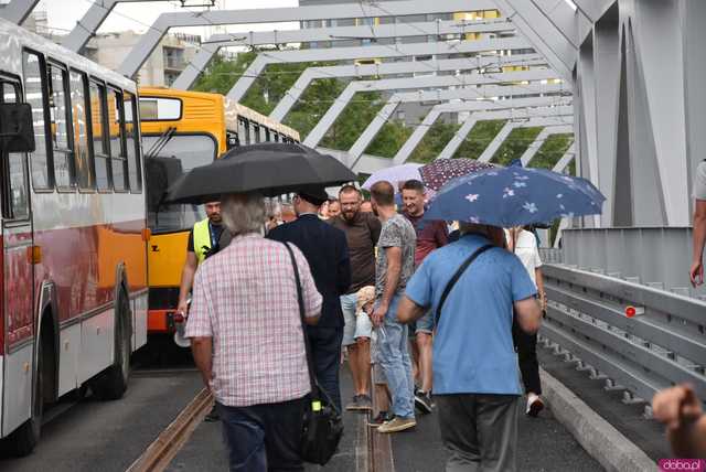 Ikarus, Ogórek, Jelcz PR i wiele innych: Parada autobusów przejechała przez wiadukt na nowej trasie autobusowo-tramwajowej na Nowy Dwór [WIDEO, FOTO]