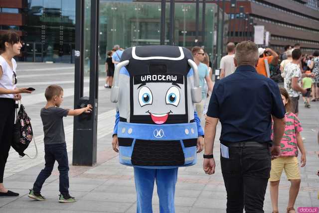 Ikarus, Ogórek, Jelcz PR i wiele innych: Parada autobusów przejechała przez wiadukt na nowej trasie autobusowo-tramwajowej na Nowy Dwór [WIDEO, FOTO]