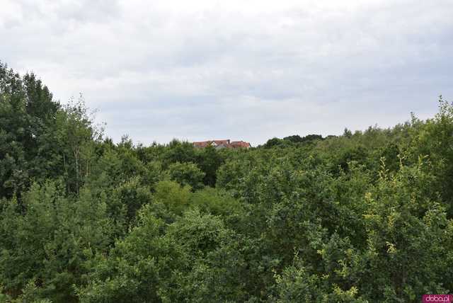 Zobacz, jak prezentuje się nowa wieża obserwacyjna na Maślicach [FOTO]
