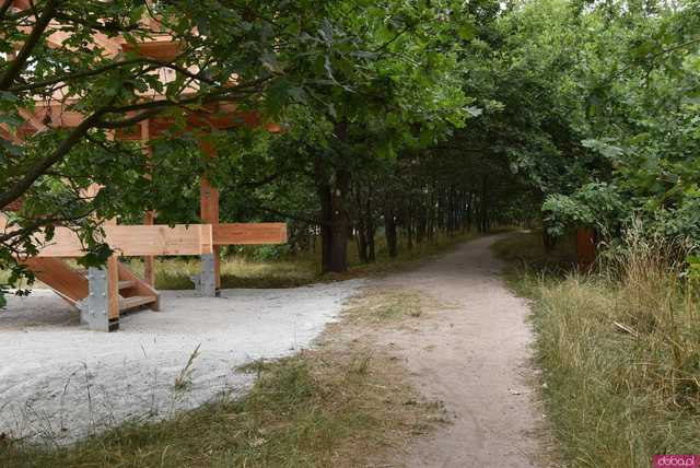 Zobacz, jak prezentuje się nowa wieża obserwacyjna na Maślicach [FOTO]