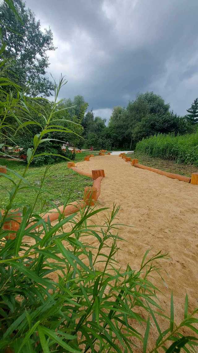 Trwa urządzanie terenu zielonego na Muchoborze Wielkim [FOTO]