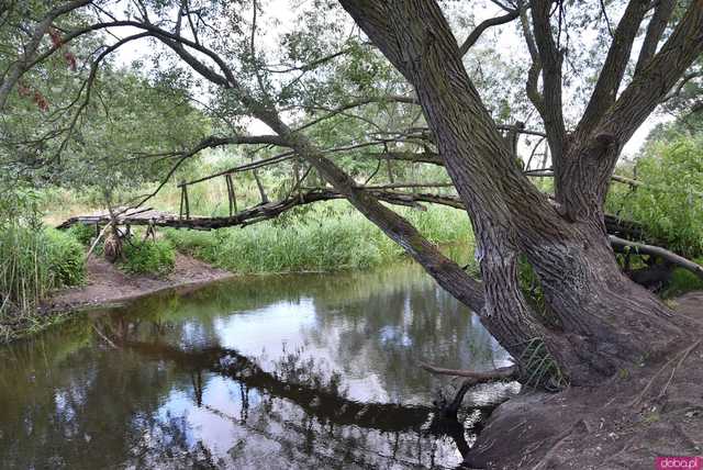 Ciekawe, mało znane miejsca Wrocławia cz. 8: Tajemnicza kładka nad rzeką Widawą - klimatycznie i urokliwie, ale czy na pewno bezpiecznie?