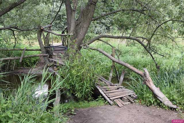 Ciekawe, mało znane miejsca Wrocławia cz. 8: Tajemnicza kładka nad rzeką Widawą - klimatycznie i urokliwie, ale czy na pewno bezpiecznie?