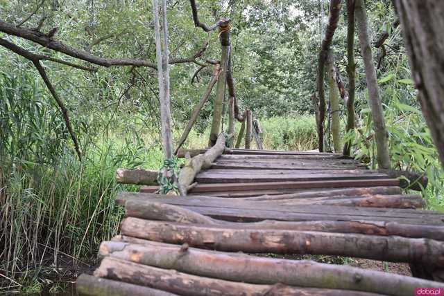 Ciekawe, mało znane miejsca Wrocławia cz. 8: Tajemnicza kładka nad rzeką Widawą - klimatycznie i urokliwie, ale czy na pewno bezpiecznie?