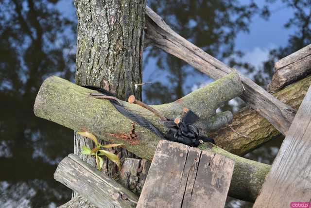 Ciekawe, mało znane miejsca Wrocławia cz. 8: Tajemnicza kładka nad rzeką Widawą - klimatycznie i urokliwie, ale czy na pewno bezpiecznie?