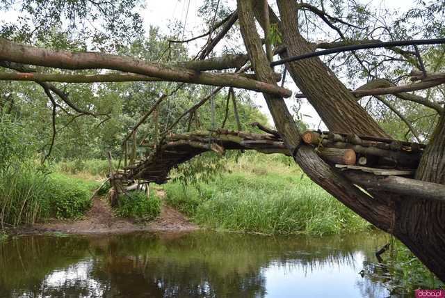 Ciekawe, mało znane miejsca Wrocławia cz. 8: Tajemnicza kładka nad rzeką Widawą - klimatycznie i urokliwie, ale czy na pewno bezpiecznie?