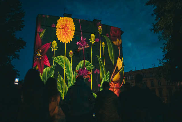 grafika