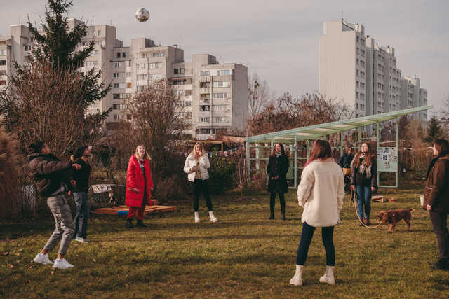grafika
