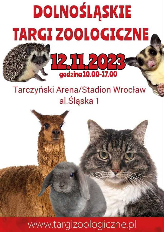 grafika