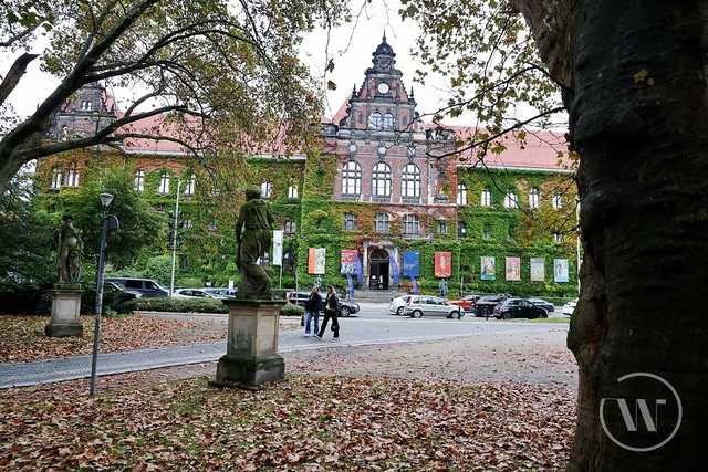 grafika