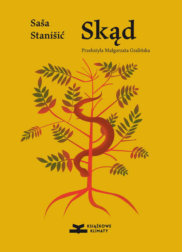 grafika