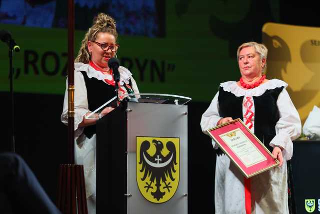 grafika