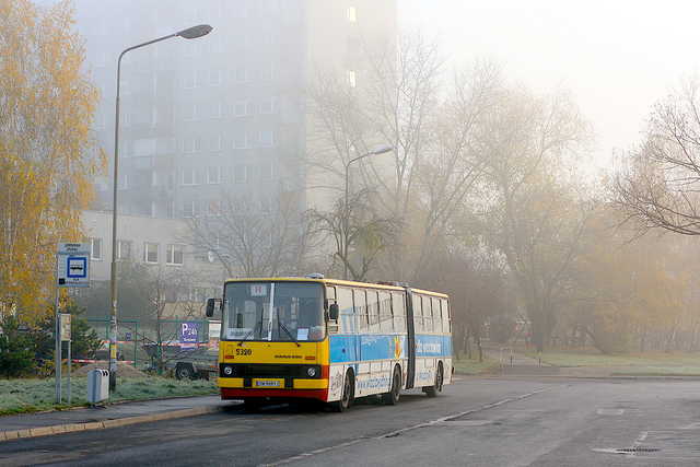 grafika