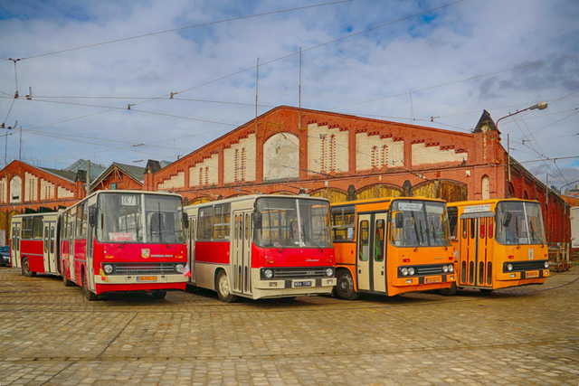 grafika