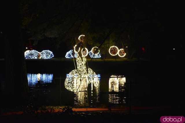 [WIDEO, FOTO] Park Iluminacji w Zamku Topacz pod Wrocławiem już otwarty. Zobacz cennik i godziny otwarcia