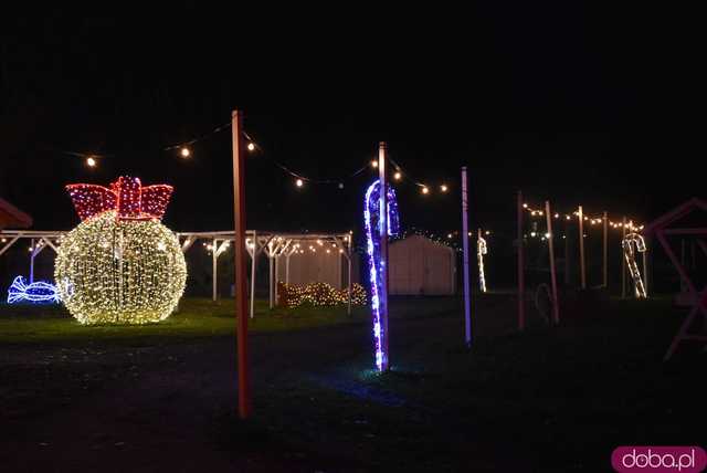 [WIDEO, FOTO] Park Iluminacji w Zamku Topacz pod Wrocławiem już otwarty. Zobacz cennik i godziny otwarcia