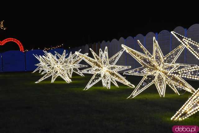 [WIDEO, FOTO] Park Iluminacji w Zamku Topacz pod Wrocławiem już otwarty. Zobacz cennik i godziny otwarcia