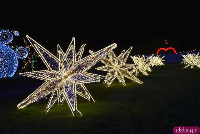 [WIDEO, FOTO] Park Iluminacji w Zamku Topacz pod Wrocławiem już otwarty. Zobacz cennik i godziny otwarcia