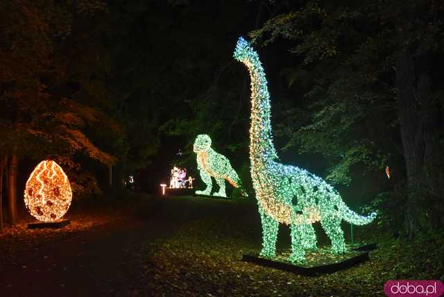 [WIDEO, FOTO] Park Iluminacji w Zamku Topacz pod Wrocławiem już otwarty. Zobacz cennik i godziny otwarcia