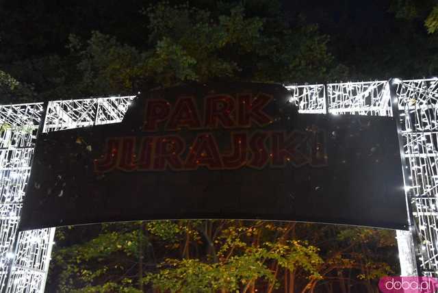 [WIDEO, FOTO] Park Iluminacji w Zamku Topacz pod Wrocławiem już otwarty. Zobacz cennik i godziny otwarcia